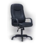Kursi Kantor Direktur Fantoni AD 2007 L