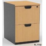 Filling Kabinet 2 Laci type FL-1732